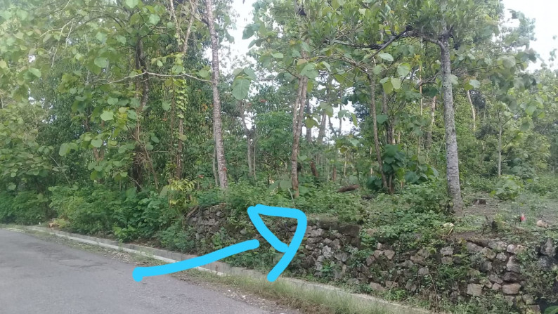 TANAH SELUAS 1000 METER PERSEGI, DI DAERAH SIRAMAN, WONOSARI, GUNUNG KIDUL