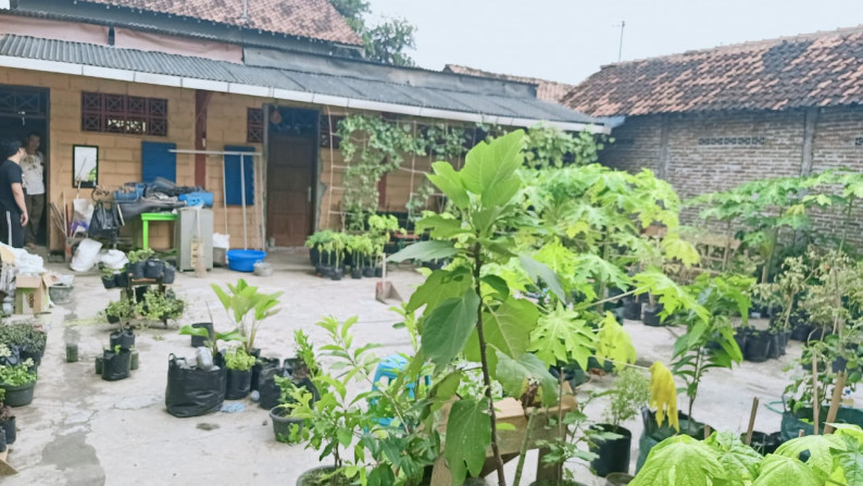 Rumah Dekat Pondok Pesantren daerah Krapyak, Bantul - Yogyakarta