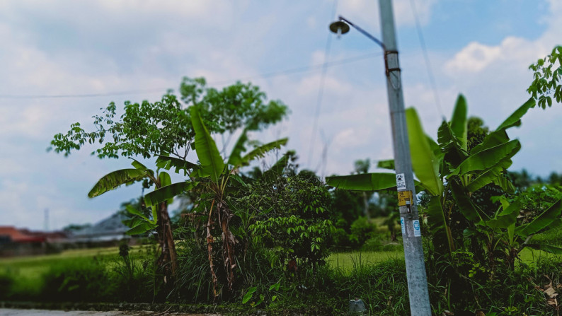 TANAH SAWAH 965 METER PERSEGI DI KARANG GAYAM, MUNGKID, MAGELANG