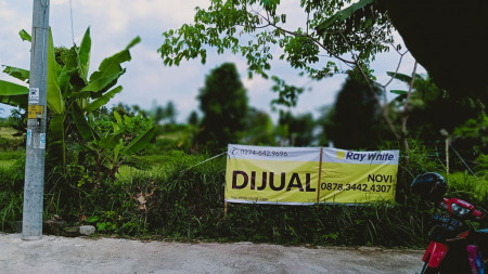 TANAH SAWAH 965 METER PERSEGI DI KARANG GAYAM, MUNGKID, MAGELANG