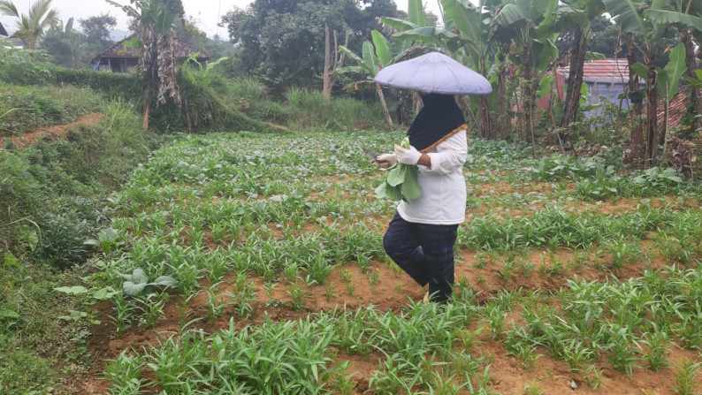 Di Jual Tanah di Jl Raya Cipanas, Cianjur