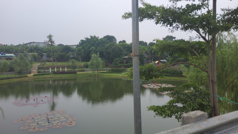 Hunian Sehat, Berkualitas, Bebas Sumpek  Bernuansa Villa dengan View Danau @ Jagakarsa, Jakarta Selatan