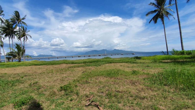 Dijual Tanah Di Banyuwangi