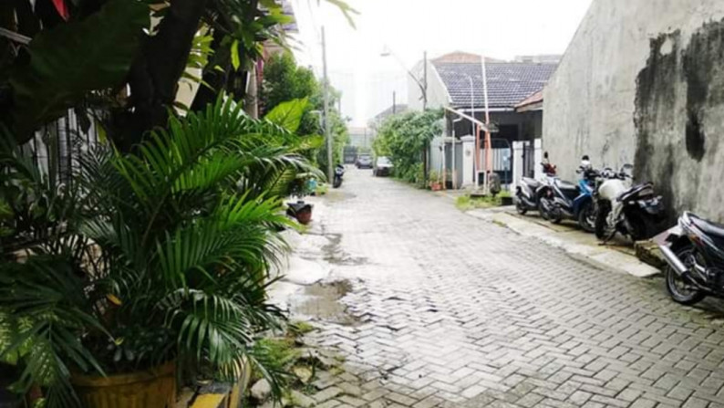 Rumah Gunung Sari Indah Karang Pilang Surabaya