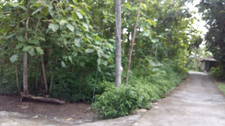 TANAH PEKARANGAN  8.308 METER PERSEGI,  ARGOSARI DEKAT JL WATES KM 12
