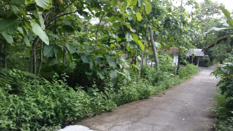 TANAH PEKARANGAN 8.308 METER PERSEGI, ARGOSARI DEKAT JL WATES KM 12