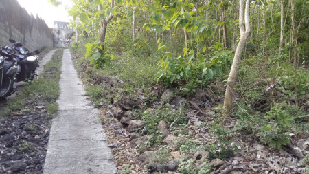 TANAH  PEKARANGAN SELUAS 305 METER PERSEGI, DI SUKOREJO, KULON PROGO