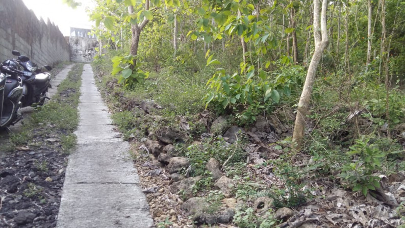 TANAH  PEKARANGAN SELUAS 305 METER PERSEGI, DI SUKOREJO, KULON PROGO