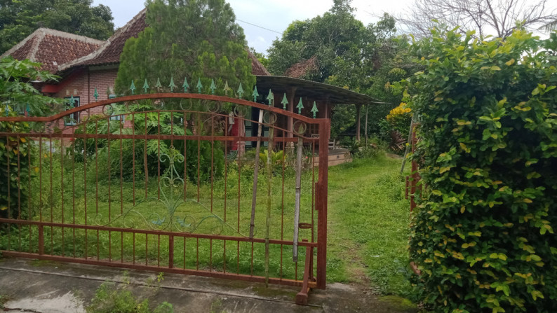 TANAH 1000 METER PERSEGI BONUS BANGUNAN JOGLO, DI DEKAT PRAMBANAN