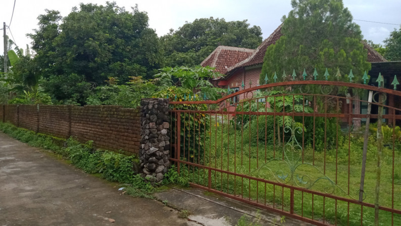 TANAH 1000 METER PERSEGI BONUS BANGUNAN JOGLO, DI DEKAT PRAMBANAN