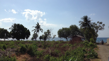 Dijual Tanah/Beachland West of Lovina, Kab. Buleleng, Bali