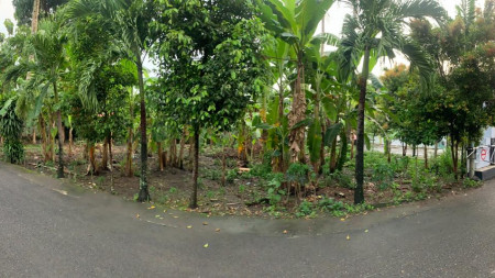TANAH SAWAH SELUAS 482 METER PERSEGI, DI JL PELEM WULUNG, BANGUNTAPAN