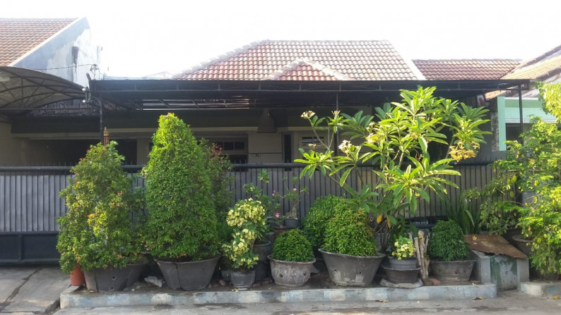 Rumah  dijual Taman Pondok Jati Sidoarjo