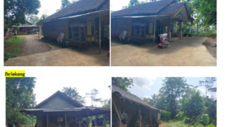 TANAH SELUAS 3028 METER PERSEGI, DI DSN NGENEP, DLINGO, BANTUL