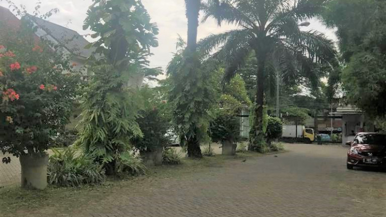 Rumah Siap Huni, Dalam Cluster, dan Hunian Asri @The Orchid, Pondok Aren