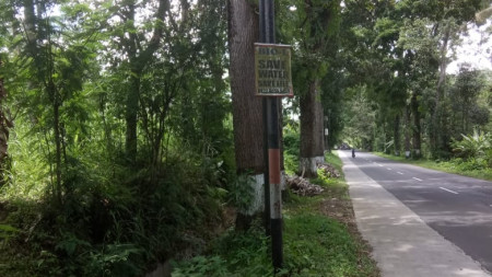 TANAH SELUAS 564 METER PERSEGI, DI LOSARI, PAKIS, MAGELANG