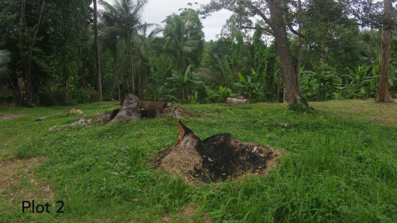 Dijual Cepat!! Kavling di daerah Anyer, Cinangka - Serang