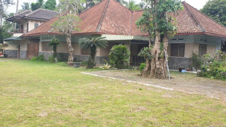 Disewakan rumah dengan arsitektur kolonial belanda di lokasi bagus