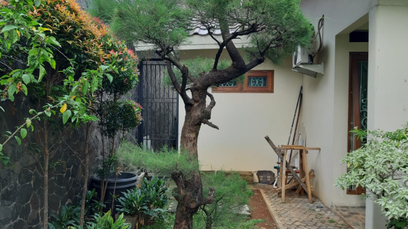 Rumah Asri & Cantik lingkungan Nyaman di Pejaten - Jatipadang, Jakarta Selatan