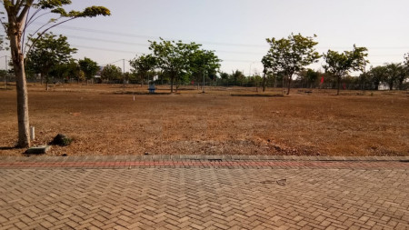 Tanah HGB Grand Pakuwon