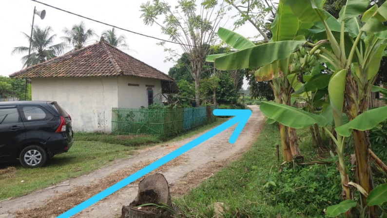 Dijual harga murah Tanah di Kp. Lengka, Desa mander - Kab. Serang