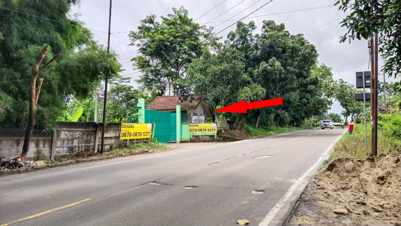 DIJUAL tanah  murah 9 Ha di Rangkas Bitung - Lebak - Banten