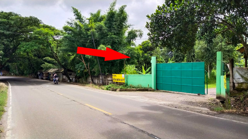 DIJUAL tanah  murah 9 Ha di Rangkas Bitung - Lebak - Banten