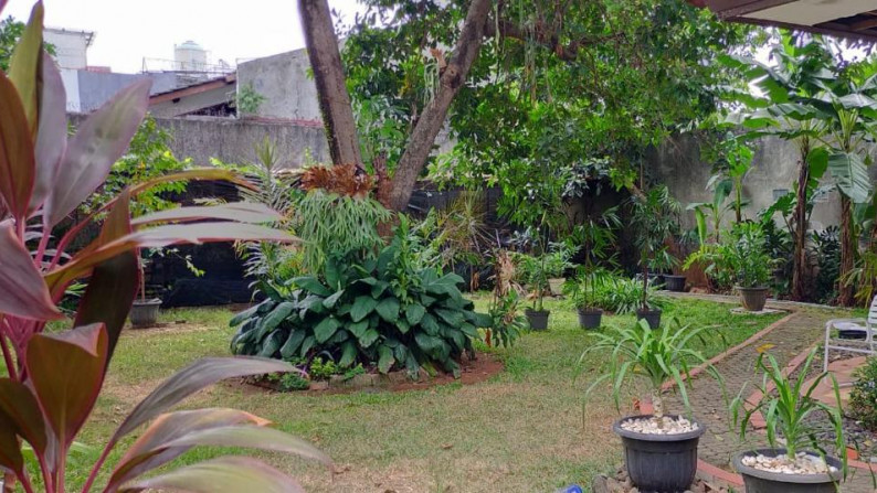 Dijual Rumah Arsi dan Nyaman di Pejaten Timur, Pasar Minggu Jakarta Selatan