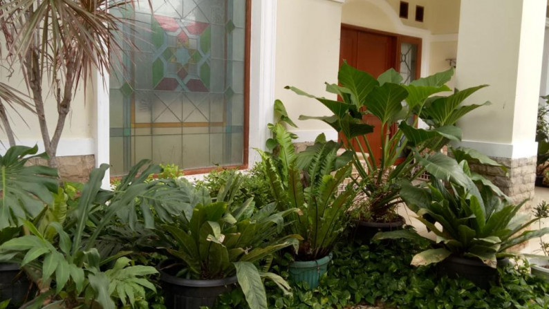 Dijual Rumah Arsi dan Nyaman di Pejaten Timur, Pasar Minggu Jakarta Selatan