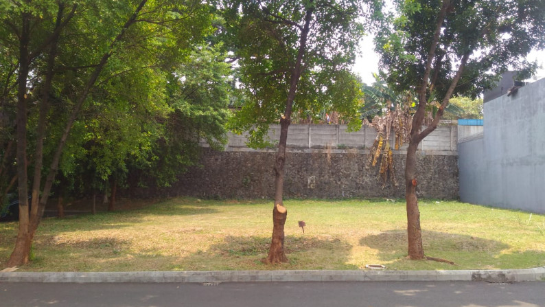 TANAH HOOK KAVLING di Bintaro Luas 600 Meter, Harga 15 JUTA / Meter, Nego #AM