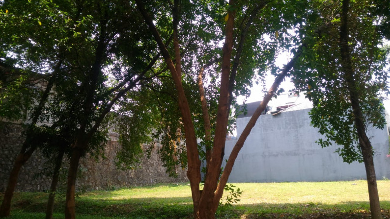 TANAH HOOK KAVLING di Bintaro Luas 600 Meter, Harga 15 JUTA / Meter, Nego #AM