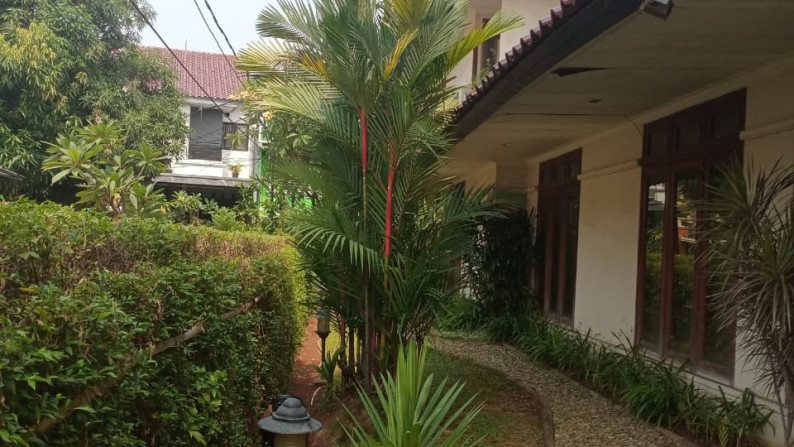 Rumah Asri Nyaman buat tempat tinggal Halaman Luas di Pondok Kelapa