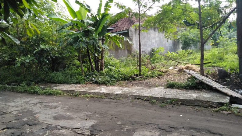 TANAH 783 METER PERSEGI, DI SIDOKARTO, SLEMAN
