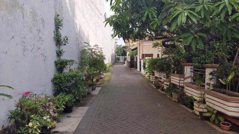 Rumah di Kutisari Selatan, Minimalis, Bagus, One Gate (Aman), Jalan depan Paving, Siap Huni