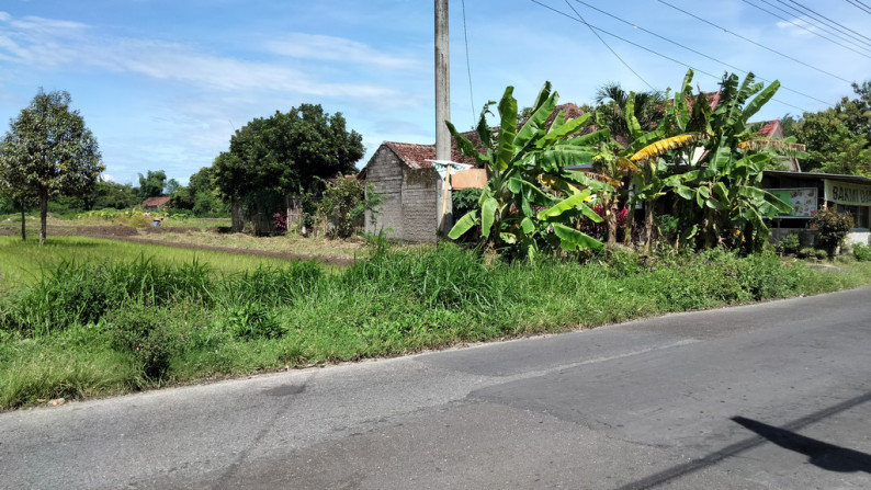 Tanah di Jl LPMP Tirtamartani Kalasan sleman yogyakarta