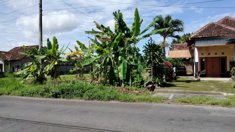 Tanah di Jl LPMP Tirtamartani Kalasan sleman yogyakarta