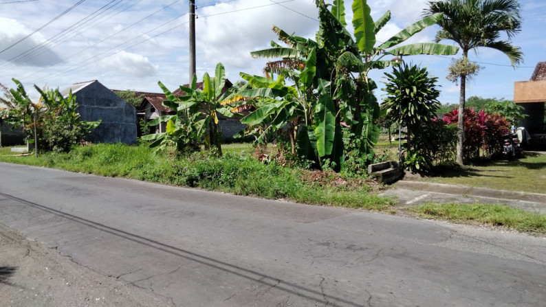 Tanah di Jl LPMP Tirtamartani Kalasan sleman yogyakarta