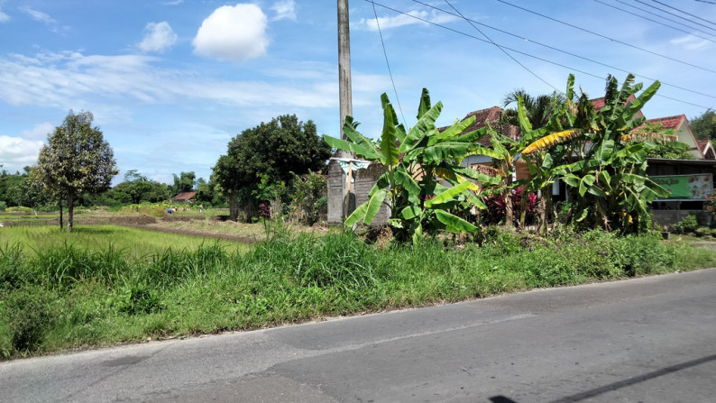 Tanah di Jl LPMP Tirtamartani Kalasan sleman yogyakarta