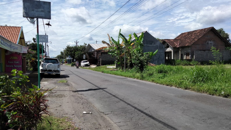 Tanah di Jl LPMP Tirtamartani Kalasan sleman yogyakarta