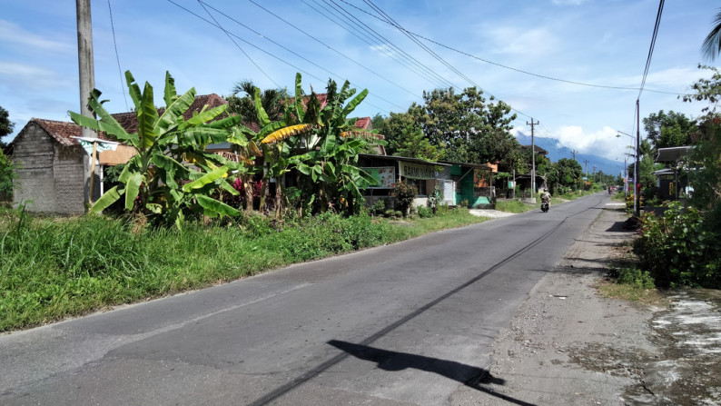 Tanah di Jl LPMP Tirtamartani Kalasan sleman yogyakarta