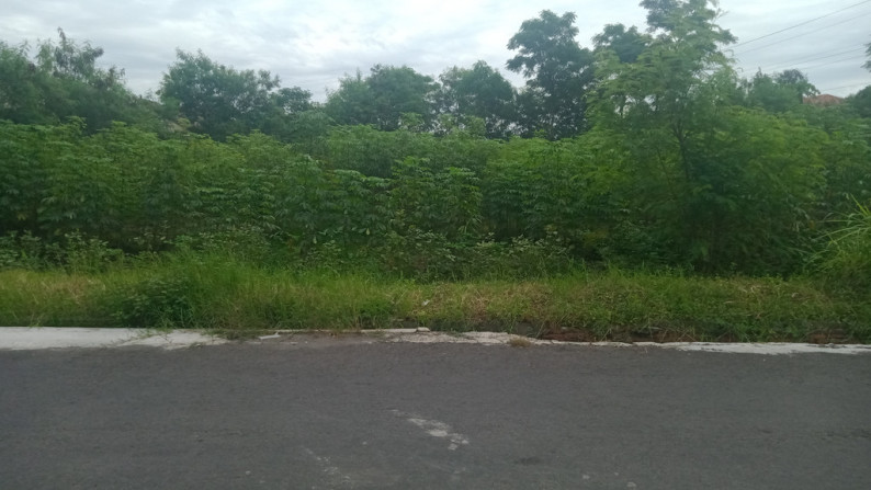 TANAH 859 METER PERSEGI, SIDOKARTO, SLEMAN