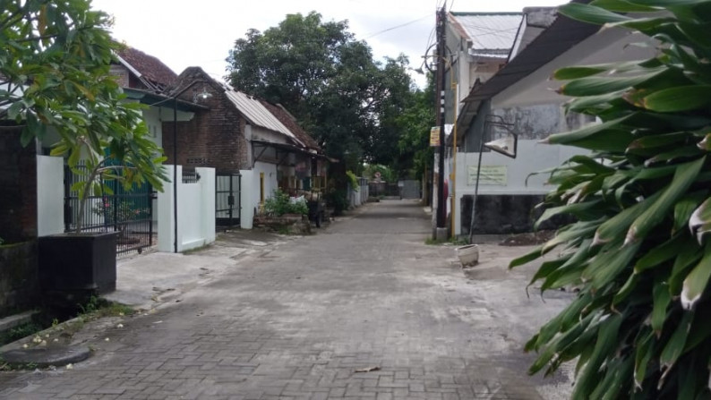 TANAH PEKARANGAN DI PANDEGA PADMA, COCOK UNTUK RUMAH TINGGAL/USAHA