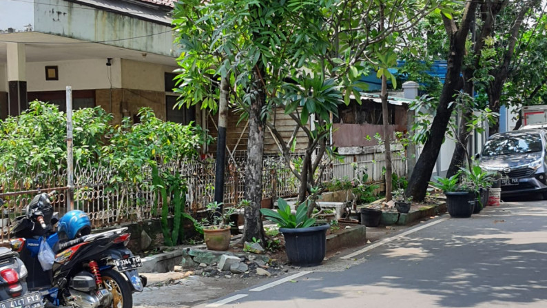 Rumah Jl. Sangihe Roxy