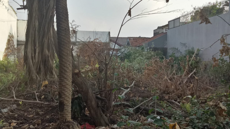 Kavling Bagus Siap Bangun Hanya 100M Dari Jalan Utama Di Area Rempoa Raya (DKI)