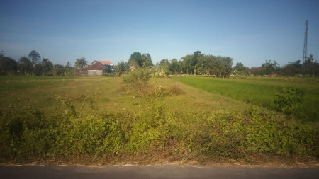 TANAH SAWAH DIATAS 1670 METER PERSEGI DI SIDOMOYO, GODEAN, SLEMAN