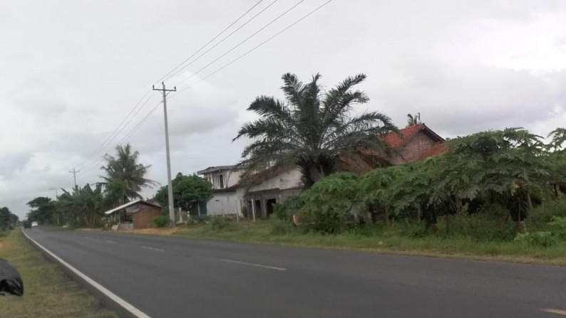 TANAH SELUAS 11.158 METER PERSEGI, DI JL DENDELS, NGOMBOL, PURWOREJO