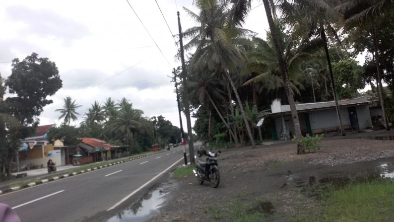 TANAH SELUAS 2232 METER PERSEGI, DI JL DENDELS, GRABAG, PURWOREJO