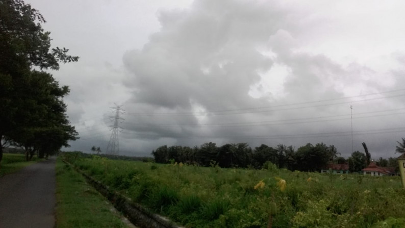 TANAH SAWAH SELUAS 6500 METER PERSEGI, DI DESA TUNJUNGAN, NGOMBOL, PURWOREJO