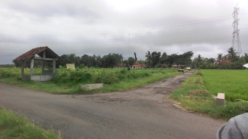 TANAH SAWAH SELUAS 6500 METER PERSEGI, DI DESA TUNJUNGAN, NGOMBOL, PURWOREJO