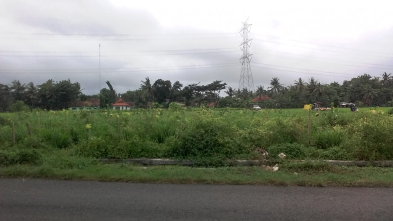 TANAH SAWAH SELUAS 6500 METER PERSEGI, DI DESA TUNJUNGAN, NGOMBOL, PURWOREJO